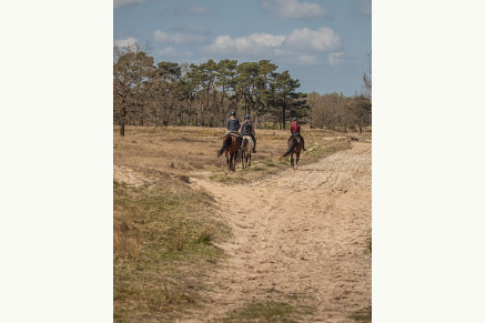 Vakantieboerderij Hoeve Heide en Wold met hottub direct aan ruiterroutes VMP010